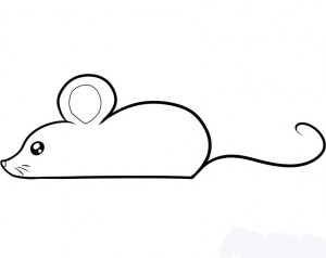 how-to-draw-a-mouse-for-kids-step-4_1_000000053267_5