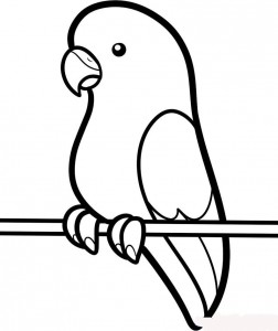 how-to-draw-a-parakeet-for-kids-step-5_1_000000089967_5