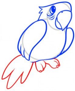 how-to-draw-a-parrot-for-kids-step-5_1_000000055215_3