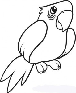 how-to-draw-a-parrot-for-kids-step-6_1_000000055217_5