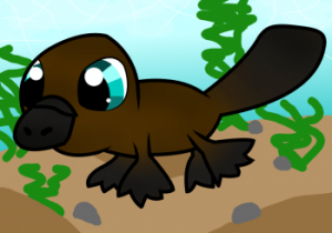 how-to-draw-a-platypus-for-kids_1_000000009011_3