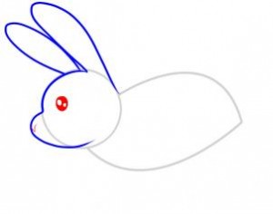 how-to-draw-a-rabbit-for-kids-step-4_1_000000045889_3
