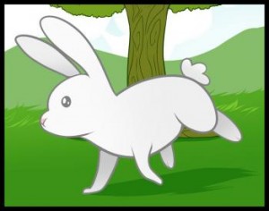 how-to-draw-a-rabbit-for-kids_1_000000007312_3