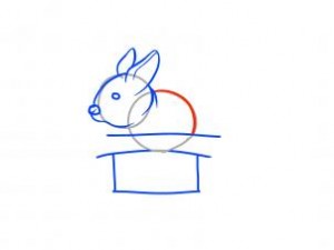 how-to-draw-a-rabbit-in-a-hat-step-7_1_000000067233_3