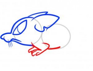 how-to-draw-a-rat-for-kids-step-5_1_000000063441_3