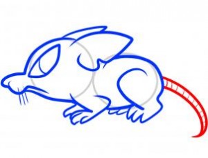 how-to-draw-a-rat-for-kids-step-7_1_000000063445_3