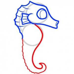 how-to-draw-a-seahorse-for-kids-step-4_1_000000073201_3