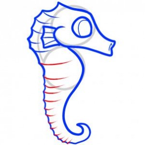 how-to-draw-a-seahorse-for-kids-step-5_1_000000073203_3