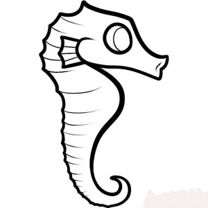 how-to-draw-a-seahorse-for-kids-step-6_1_000000073205_5