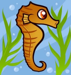 how-to-draw-a-seahorse-for-kids_1_000000009613_3