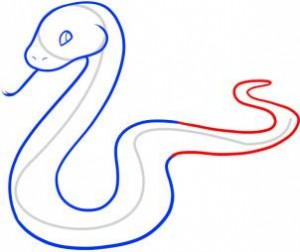 how-to-draw-a-snake-for-kids-step-5_1_000000055143_3