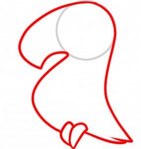 how-to-draw-a-toucan-for-kids-step-2_1_000000070849_3