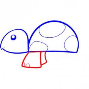 how-to-draw-a-turtle-for-kids-step-3_1_000000053355_3