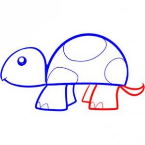 how-to-draw-a-turtle-for-kids-step-4_1_000000053357_3