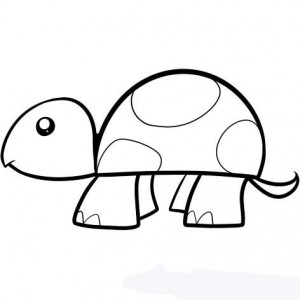 how-to-draw-a-turtle-for-kids-step-5_1_000000053359_5