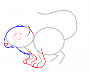 how-to-draw-a-weasel-for-kids-step-3_1_000000065291_3