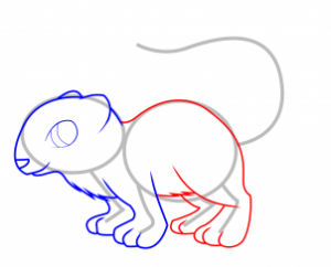 how-to-draw-a-weasel-for-kids-step-4_1_000000065293_3