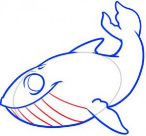 how-to-draw-a-whale-for-kids-step-6_1_000000061155_3