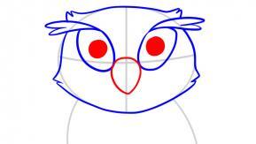 how-to-draw-an-owl-for-kids-step-4_1_000000045937_3
