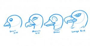 how-to-draw-birds-for-kids-step-1_1_000000062287_3
