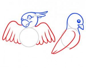 how-to-draw-birds-for-kids-step-6_1_000000062297_3