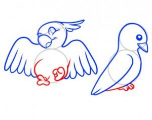 how-to-draw-birds-for-kids-step-7_1_000000062299_3