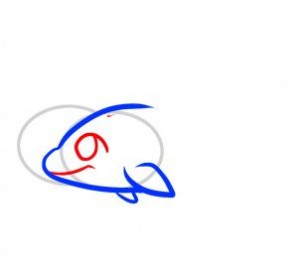 how-to-draw-dolphins-for-kids-step-3_1_000000074243_3