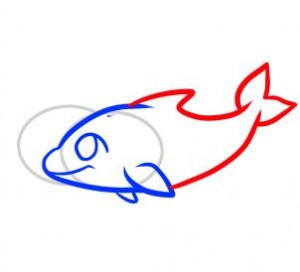 how-to-draw-dolphins-for-kids-step-4_1_000000074245_3