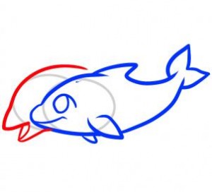 how-to-draw-dolphins-for-kids-step-5_1_000000074247_3