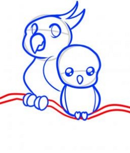 how-to-draw-parrots-for-kids-step-7_1_000000076093_3