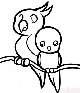 how-to-draw-parrots-for-kids-step-9_1_000000076097_5