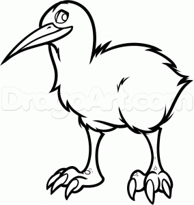 Как поэтапно нарисовать птицу Киви карандашом