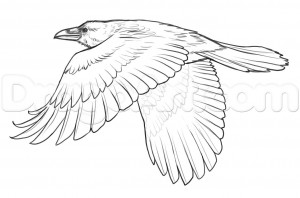 Урок рисования летящего Ворона