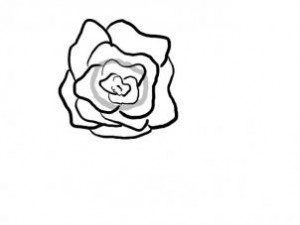 how-to-draw-a-basket-of-roses-step-2_1_000000096459_3
