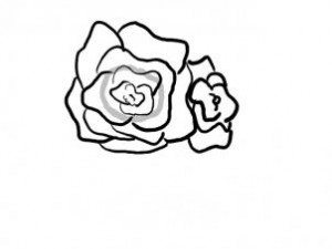 how-to-draw-a-basket-of-roses-step-3_1_000000096461_3