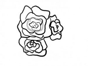 how-to-draw-a-basket-of-roses-step-4_1_000000096463_3