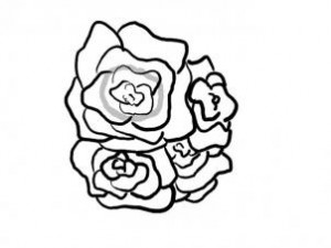 how-to-draw-a-basket-of-roses-step-5_1_000000096465_3