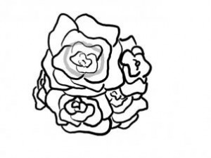 how-to-draw-a-basket-of-roses-step-6_1_000000096467_3