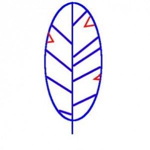 how-to-draw-a-feather-for-kids-step-4_1_000000093375_3