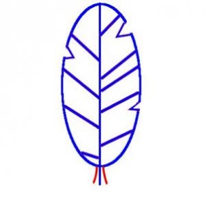 how-to-draw-a-feather-for-kids-step-5_1_000000093377_3