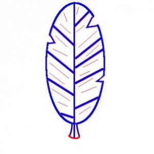 how-to-draw-a-feather-for-kids-step-6_1_000000093379_3