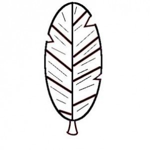 how-to-draw-a-feather-for-kids-step-7_1_000000093381_3
