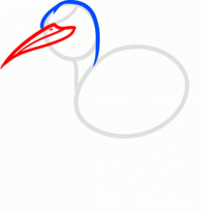 how-to-draw-a-kiwi-bird-step-3_1_000000169038_3
