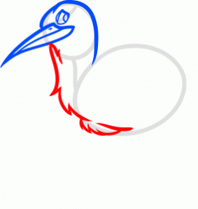 how-to-draw-a-kiwi-bird-step-5_1_000000169040_3