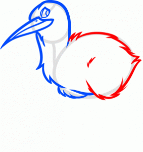 how-to-draw-a-kiwi-bird-step-6_1_000000169041_3