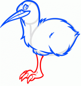 how-to-draw-a-kiwi-bird-step-7_1_000000169042_3