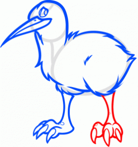 how-to-draw-a-kiwi-bird-step-8_1_000000169043_3