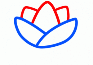 how-to-draw-a-lotus-for-kids-step-2_1_000000095289_3