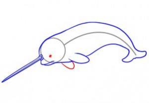 how-to-draw-a-narwhal-step-4_1_000000028001_3