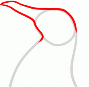 how-to-draw-a-penguin-head-step-2_1_000000155164_3